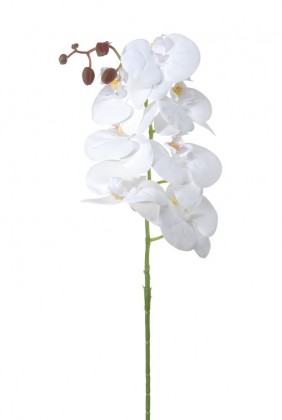 PHALAENOPSIS 100CM BLANCO