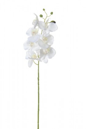 PHALAENOPSIS 80CM BLANCO