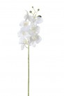 PHALAENOPSIS 80CM BLANCO