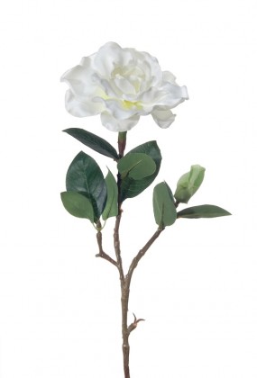 GARDENIA 33CM BLANCO