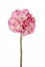 HORTENSIA 52CM ROSE