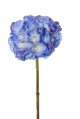 HORTENSIA 52CM AZUL