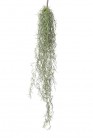 TILLANDSIA 75CM VERT/GRIS