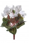 CYCLAMEN 36CM BLANCO