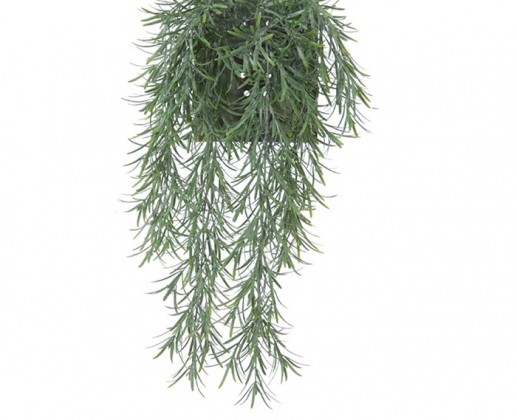 PODOCARPUS CHUTE 56CM VERT POUBRE HEADER