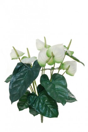 ANTHURIUM 55CM VERT/BLANC