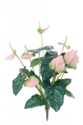 ANTHURIUM 55CM VERT/ROSE