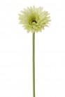 GERBERA 58CM VERT