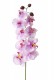 PHALAENOPSIS 100 CM MAUVE