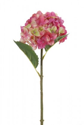 HORTENSIA 46CM CÉRISE