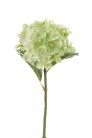 HORTENSIA 46CM VERT