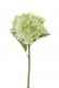 HORTENSIA 46CM VERT