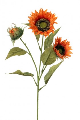 TOURNESOL X3 68CM ORANGE