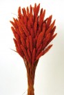 SETARIA 75CM NARANJA