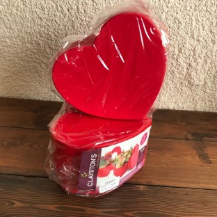 CAJA PANDORE CORAZON 20CMX11CM ROJO