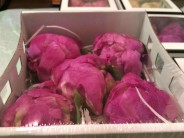 PAEONIA PRESERVADA PURPLE X 4 UNI.