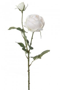 ROSE 70 CM BLANC