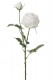 ROSE 70 CM BLANC