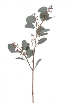 EUCALYPTUS 58 CM GRIS