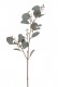 EUCALYPTUS 58 CM GRIS