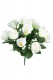 PIQUET ROSA/CALLA 33CM CREMA