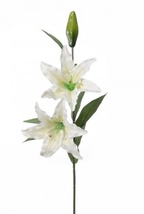 LYS 84CM BLANCO