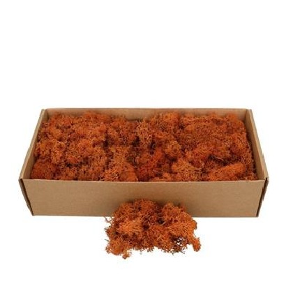 MUSGO RENO 500G (NARANJA)