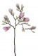 MAGNOLIA 70CM CÉRISE