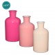 BOTELLA RIGA ROSA ASS. Ø:7-12CM