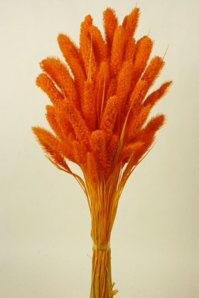 SETARIA 75CM NARANJA