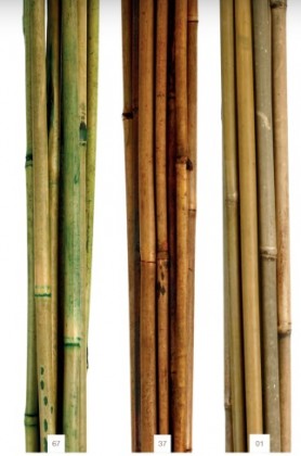 BAMBU CAÑA 10T 180CM MARRON