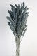 SETARIA 75CM GRIS