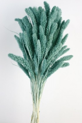 SETARIA 75CM AZUL MENTA