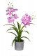 VANDA ORCHIDEE 34CM CERISE