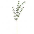 EUCALYPTUS 60CM VERDE