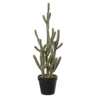 CACTUS MACETA 55CM