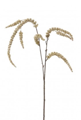 AMARANTHUS 68CM CRÈME