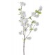 CÉRISIER 88CM BLANCO