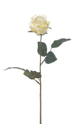 BOUTON DE ROSE 42CM CRÈME