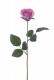 BOUTON DE ROSE 42CM CÉRISE