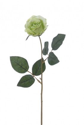 BOUTON DE ROSE 42CM VERT