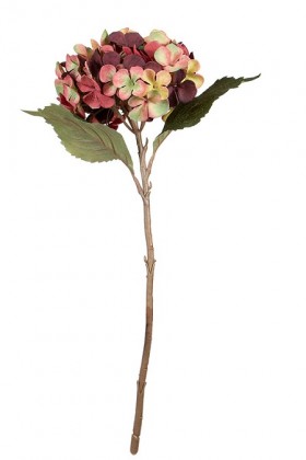 HORTENSIA 45CM BOURDEOS