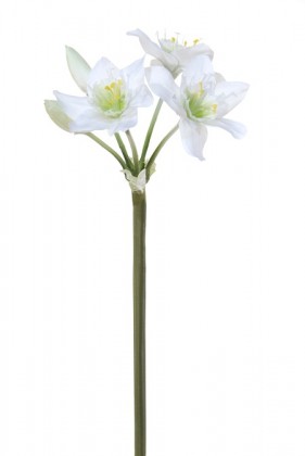 EUCHARIS 60CM BLANCO