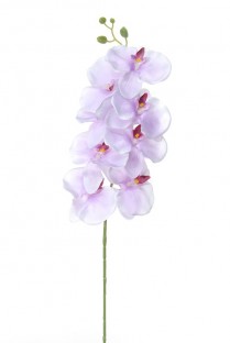 PHALAENOPSIS 100CM MAUVE