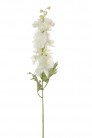 DELPHINIUM 67CM CREME