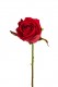 BOUTON DE ROSE 58 CM ROUGE