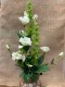 CENTRO CAJA MADERA LISIANTHUS BLANCO MOLUCCELLA