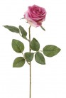 ROOS 66CM CÉRISE