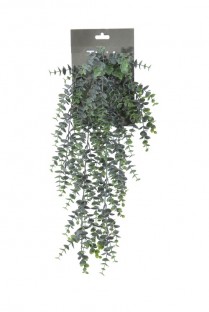 EUCALIPTUS POUDRE CHUTE 54CM VERT