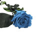 ROSA PRESERVADA AZUL TURQUESA SUP.
